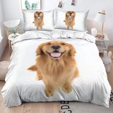 NDXRWDZR Çocuk Tek Kişilik Nevresim 135 x 200 cm Golden Retriever Gizli Fermuarlı Nevresim Takımı Mikrofiber Yumuşak Nefes Alabilir Nevresim Takımı Nevresim Takımı ve 2 Yastık Kılıfı 50 x 80 cm