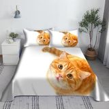 NDXRWDZR King Size Nevresim Takımı Beyaz Kedi Nevresim Takımı Fermuarlı Nevresim Takımı Aldults Çocuklar için Yumuşak Hipoalerjenik Mikrofiber Yorgan Kılıfı 230x220 cm + 2 Yastık Kılıfı 50x75 cm