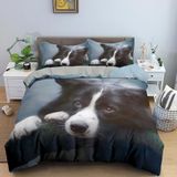NDXRWDZR King Size Nevresim Takımı Bordür Collie Nevresim Fermuarlı Nevresim Takımı Aldults Çocuklar için Yumuşak Hipoalerjenik Mikrofiber Yorgan Kılıfı 230x220 cm + 2 Yastık Kılıfı 50x75 cm