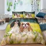 NDXRWDZR King Size Nevresim Takımı King Charles Spaniel Nevresim Fermuarlı Nevresim Takımı Aldults Çocuklar için Yumuşak Hipoalerjenik Mikrofiber Yorgan Kılıfı 230x220 cm + 2 Yastık Kılıfı 50x75 cm