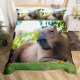 NDXRWDZR King Size Nevresim Takımı Sevimli Capybara Nevresim Fermuarlı Nevresim Takımı Aldults Çocuklar için Yumuşak Hipoalerjenik Mikrofiber Yorgan Kılıfı 230x220 cm + 2 Yastık Kılıfı 50x75 cm