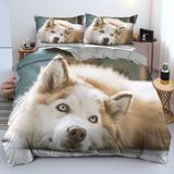 NDXRWDZR King Size Nevresim Takımı Sevimli Köpek Nevresim Takımı Fermuarlı Nevresim Takımı Aldults Çocuklar için Yumuşak Hipoalerjenik Mikrofiber Yorgan Kılıfı 230x220 cm + 2 Yastık Kılıfı 50x75 cm