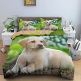 NDXRWDZR Nevresim 90 x 190 Çocuk Labrador Retriever Tek Kişilik Nevresim Takımı Fermuarlı Rahat Nefes Alabilir Mikrofiber Nevresim ve 2 Yastık Kılıfı 65 x 65 cm