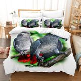 NDXRWDZR Nevresim 90 x 190 Çocuk Papağan Gri Tek Kişilik Nevresim Takımı Fermuarlı Rahat Nefes Alabilir Mikrofiber Nevresim ve 2 Yastık Kılıfı 65 x 65 cm