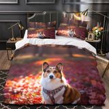 NDXRWDZR Nevresim Takımı 220 x 240 Yetişkin Corgi Nevresim 2 Kişilik Fermuarlı Rahat Nefes Alabilir Mikrofiber Nevresim ve 2 Yastık Kılıfı 65 x 65 cm