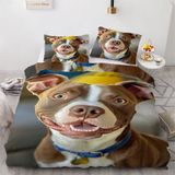 NDXRWDZR Nevresim Takımı 220 x 240 Yetişkin Çukur Bull Nevresim Fermuarlı 2 Kişilik Rahat Nefes Alabilir Mikrofiber Nevresim ve 2 Yastık Kılıfı 65 x 65 cm