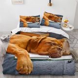 NDXRWDZR Nevresim Takımı 220 x 240 Yetişkin Dantelli Nevresim 2 Kişilik Fermuarlı Rahat Nefes Alabilir Mikrofiber Nevresim ve 2 Yastık Kılıfı 65 x 65 cm
