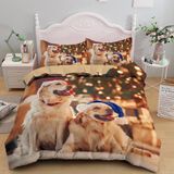 NDXRWDZR Nevresim Takımı 220 x 240 Yetişkin Golden Retriever Nevresim 2 Kişilik Fermuarlı Rahat Nefes Alabilir Mikrofiber Nevresim ve 2 Yastık Kılıfı 65 x 65 cm
