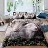 NDXRWDZR Nevresim Takımı 220 x 240 Yetişkin Koyun Beyaz Nevresim Fermuarlı 2 Kişilik Rahat Nefes Alabilir Mikrofiber Nevresim ve 2 Yastık Kılıfı 65 x 65 cm