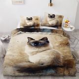 NDXRWDZR Nevresim Takımı 220 x 240 Yetişkin Siyam Kedi Nevresim 2 Kişilik Fermuarlı Rahat Nefes Alabilir Mikrofiber Nevresim ve 2 Yastık Kılıfı 65 x 65 cm