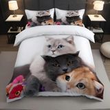 NDXRWDZR Nordik örtüler yatak 135 kedi beyaz nevresim takımı, çocuklar için, yetişkinler için, fermuarlı, yumuşak nefes alabilen mikrofiber kuvvetli kılıflar 220 x 220 cm + 2 yastık kılıfı 50 x 80 cm