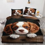 NDXRWDZR Süper King Boy Nevresim Takımı King Charles Spaniel Nevresim Fermuarlı Kapamalı Yatak Örtüsü Aldults Çocuklar için Yumuşak Nefes Alabilir Mikrofiber Kılıf 260x220 cm + 2 Yastık Kılıfı 50x75