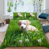NDXRWDZR Süper King Boy Nevresim Takımı Labrador Nevresim Fermuarlı Kapamalı Yatak Örtüsü Aldults Çocuklar için Yumuşak Nefes Alabilir Mikrofiber Kılıf 260x220 cm + 2 Yastık Kılıfı 50x75 cm
