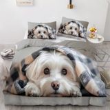 NDXRWDZR Süper King Boy Nevresim Takımı Malta Köpek Nevresim Fermuarlı Kapamalı Yatak Örtüsü Aldults Çocuklar için Yumuşak Nefes Alabilir Mikrofiber Kılıf 260x220 cm + 2 Yastık Kılıfı 50x75 cm