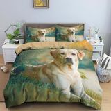 NDXRWDZR Tek Kişilik Yatak Seti Labrador Retriever Nevresim Çocuklar için Yumuşak Hipoalerjenik Mikrofiber Yorgan Kılıfı, Fermuarlı 1 Nevresim 135x200 cm + 2 Yastık Kılıfı 50x75 cm