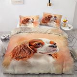 NDXRWDZR Yatak örtüsü 90 Çocuk King Charles Spaniel Yorgan Yorgan Kızlar için 90 Yatak, Fermuarlı Yumuşak Nefes Alabilen Mikrofiber Nordik Kılıflar 150 x 220 cm + 2 Yastık Kılıfı 50 x 80 cm