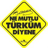 Ne Mutlu Türküm Diyene - Emine Işınsu