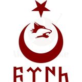 Ne Verelim Size Ay Yıldız Kartal Göktürkçe Türk Oto Özel Sticker Kırmızı 40*26 Cm