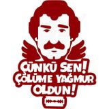 Ne Verelim Size Çünki Sen Çölüme Yağmur Oldun Yazılı Oto Özel Sticker Kırmızı 30*25 Cm
