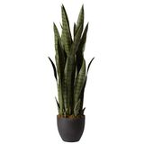 Nearly Natural, Green 4855 Sansevieria bitki saksısı, 88,9 cm, siyah