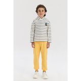 Nebbati Bg Store Erkek Çocuk Çizgili Sweatshirt Uzun Kol Normal Yaka Standart Cep ile Şık Tasarım - 14 Yaş