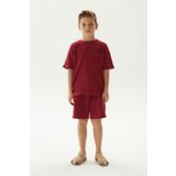 Nebbati BG Store Erkek Çocuk Kiremit T-Shirt