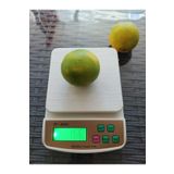 NECKLİFE SF400 A HASSAS TERAZİ & MUTFAK TARTISI 10 KG