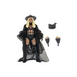 NECO TOYS AEW Karakterleri Model Aksiyon Figürler S16 Julia Hart 160