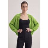 Neden Tekstil - Premium Ajurlu İnce Triko Bolero Hırka - Standart - Yeşil