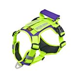 NEEDS THE PET Köpek Harness Koşum Takımı Hafif Küçük Ve Büyük Köpekler Uzanma Önleyici Göğüs Tasması (NEON YEŞİL MOR, M)