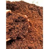 Nefa Çilek Cocopeati Torba Cocopeat Çilek Kokopiti 10 Adet