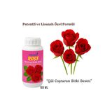 NeFizzDoğa Gül için Bitki Besini, Çiçek Açtıran-Yüksek Kalite (100ml)