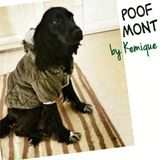 Nefti Yeşil Poof Cutıe By Kemique - Köpek Montu
