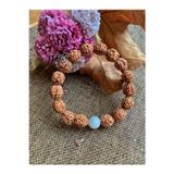 Nehirtaş Sertifikalı Rudraksha Tohumu Aytaşı Bileklik