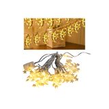 nelerbulurum 5 METRE 20 LEDLİ AY YILDIZLI GÜNIŞIĞI SABİT LED DEKORATİF Dekor Nişan Perde Dükkan YILBAŞI IŞIĞI