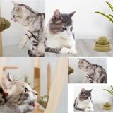 Nemere Kedi Nanesi Oyun Topu