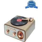 Nemere Metalik Nostaljik Tasarım Plak Çalar Görünümlü Radyolu Bluetooth Hoparlör Retro Müzik Plak N - 1