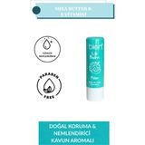 Nemlendirici Çocuk Dudak Bakım Kremi - Lip Balm Shea Butter & E Vitamini 4 Gr. - KAVUN