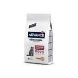 Neo Pet Market Cat Sterilized +10 Senıor Kısırlaştırılmış Yaşlı Kedi Maması 1.5 Kg
