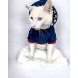 Neo Tommie Kapşonlu Kedi Sweatshirt Kedi Kıyafeti Kedi Elbisesi Kedi Giyim XL