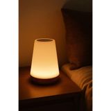 Neo Vista RGB Dokunmatik LED Masa Lambası Uzaktan Kumandalı Renk Değiştiren Gece Lambası