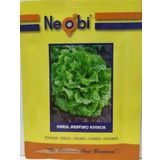 Neobi Arapsaçı Kıvırcık Marul Tohumu 10 Gr 4Ad