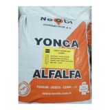 Neobi Queen Kaplamasız Yonca Tohumu 1kg