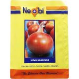 Neobi Soğan Tohumu Valancıana