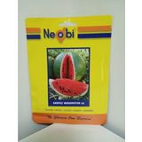 Neobi Washınton Karpuz Tohumu 10 Gr 3Ad