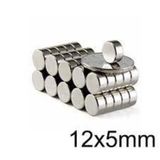 Neodyum Mıknatıs 12x5 Mm 10 Adet