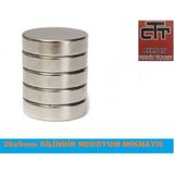 Neodyum Mıknatıs- Güçlü Çap 20Mm X Kalinlik 5Mm 10 Adet