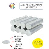 Neodyum Mıknatıs Nikel Kaplama 12mm X1 Mm 24 Adet Fiyatıdır