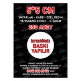 NEON Dijital Baskı Merkezi 5x5 Cm Yuvarlak - Kare - Özel Kesim - Etiket Sticker Kişiye Özel Baskılı 250 Adet
