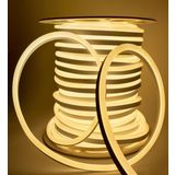NEON Esnek Hortum Şerit Led BEYAZ,GÜN IŞIĞI,KIRMIZI, YEŞİL,MAVİ,AMBER rengi + 220V Fiş/1,2,3,4,5,10,15,20,25,50,100 Metre (GÜN IŞIĞI, 1 m)